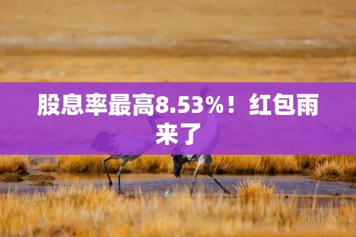 股息率最高8.53%!红包雨来了 股息率最高8.53%!红包雨来了