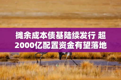 摊余成本债基陆续发行 超2000亿配置资金有望落地