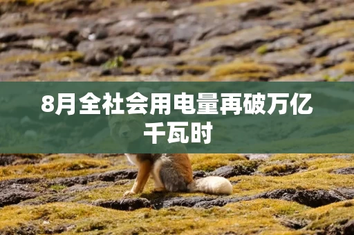 8月全社会用电量再破万亿千瓦时