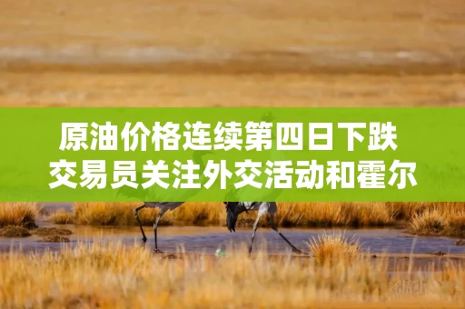 原油价格连续第四日下跌 交易员关注外交活动和霍尔木兹海峡通航情况 原油价格连续第四日下跌 交易员关注外交活动和霍尔木兹海峡通航情况