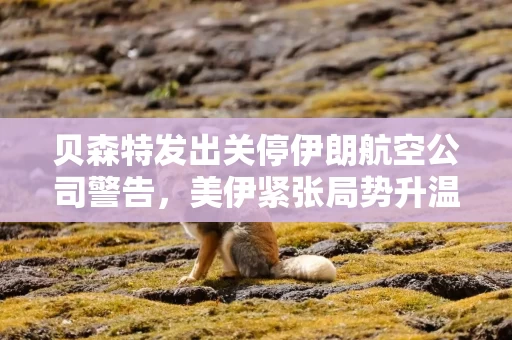 贝森特发出关停伊朗航空公司警告，美伊紧张局势升温，油价上涨