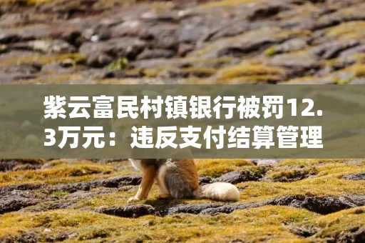 紫云富民村镇银行被罚12.3万元:违反支付结算管理规定等 紫云富民村镇银行被罚12.3万元:违反支付结算管理规定等
