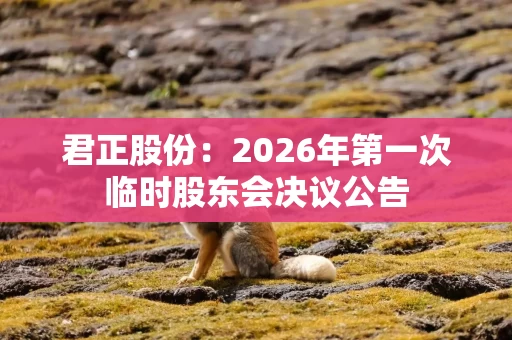 君正股份:2026年第一次临时股东会决议公告 君正股份:2026年第一次临时股东会决议公告