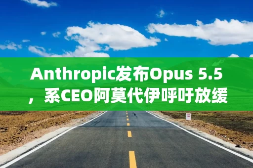 Anthropic发布Opus 5.5，系CEO阿莫代伊呼吁放缓AI发展之后推出的首款大模型