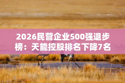 2026民营企业500强退步榜:天能控股排名下降7名,复星国际下降7名,广西盛隆冶金下降7名 2026民营企业500强退步榜:天能控股排名下降7名,复星国际下降7名,广西盛隆冶金下降7名