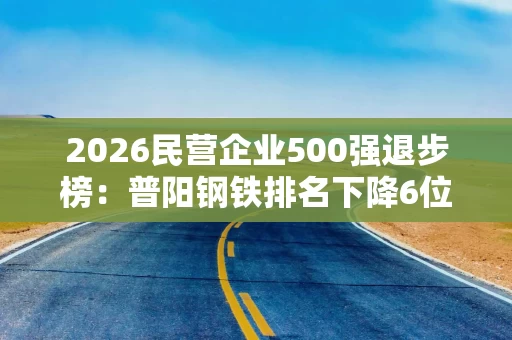 2026民营企业500强退步榜：普阳钢铁排名下降6位，云账户下降6名，特变电工下降6名