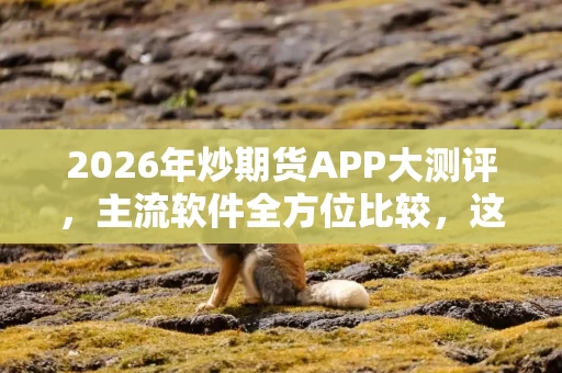 2026年炒期货APP大测评,主流软件全方位比较,这款大家都在用! 2026年炒期货APP大测评,主流软件全方位比较,这款大家都在用!