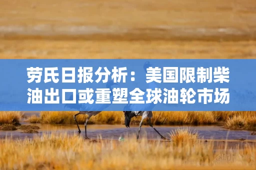 劳氏日报分析：美国限制柴油出口或重塑全球油轮市场