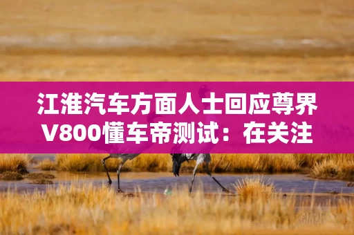 江淮汽车方面人士回应尊界V800懂车帝测试:在关注中 江淮汽车方面人士回应尊界V800懂车帝测试:在关注中