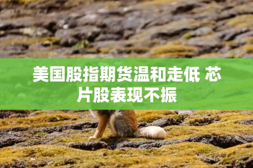 美国股指期货温和走低 芯片股表现不振