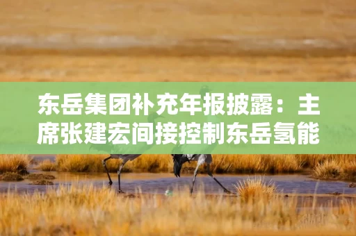 东岳集团补充年报披露：主席张建宏间接控制东岳氢能约35.50%股权