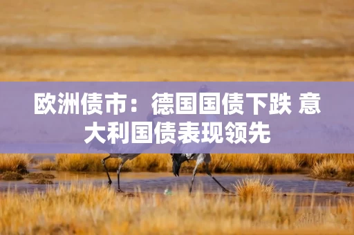 欧洲债市：德国国债下跌 意大利国债表现领先