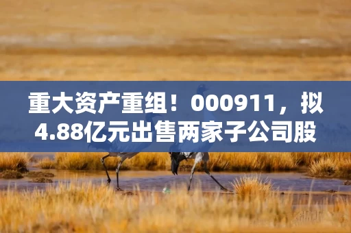 重大资产重组！000911，拟4.88亿元出售两家子公司股权