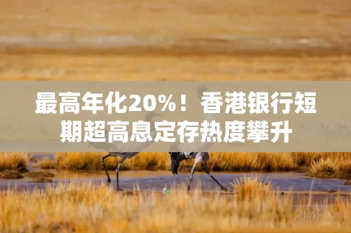 最高年化20%!香港银行短期超高息定存热度攀升 最高年化20%!香港银行短期超高息定存热度攀升