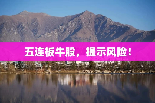 五连板牛股,提示风险! 五连板牛股,提示风险!