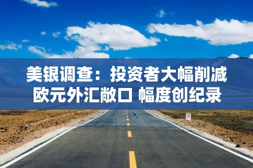 美银调查:投资者大幅削减欧元外汇敞口 幅度创纪录 美银调查:投资者大幅削减欧元外汇敞口 幅度创纪录