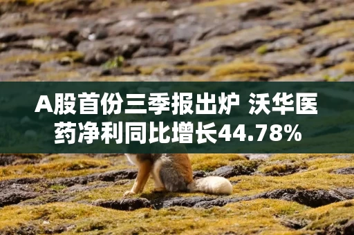 A股首份三季报出炉 沃华医药净利同比增长44.78%