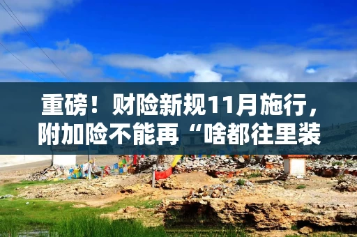 重磅！财险新规11月施行，附加险不能再“啥都往里装”