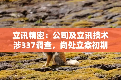 立讯精密:公司及立讯技术涉337调查,尚处立案初期 立讯精密:公司及立讯技术涉337调查,尚处立案初期