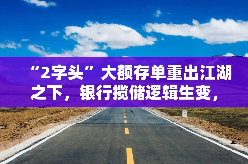 “2字头”大额存单重出江湖之下,银行揽储逻辑生变,释放什么信号? “2字头”大额存单重出江湖之下,银行揽储逻辑生变,释放什么信号?