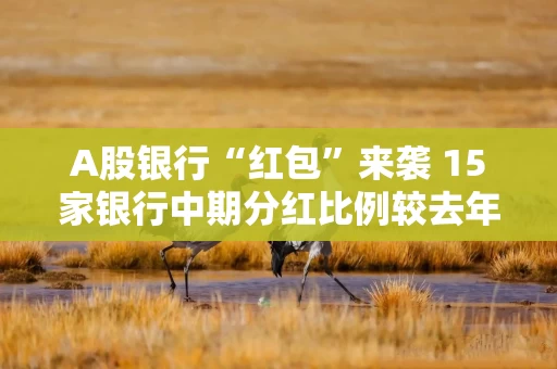 A股银行“红包”来袭 15家银行中期分红比例较去年提升 A股银行“红包”来袭 15家银行中期分红比例较去年提升