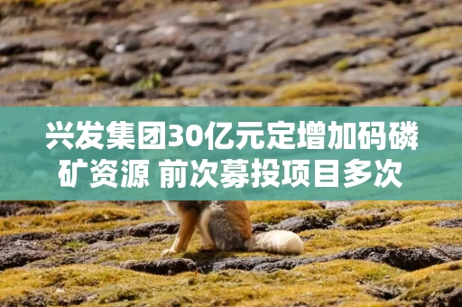 兴发集团30亿元定增加码磷矿资源 前次募投项目多次变更还延期 兴发集团30亿元定增加码磷矿资源 前次募投项目多次变更还延期
