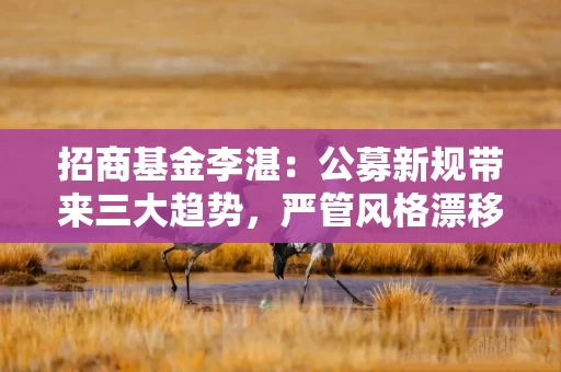 招商基金李湛：公募新规带来三大趋势，严管风格漂移与赌押赛道是行业更大的长期利好