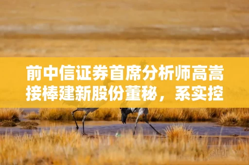 前中信证券首席分析师高嵩接棒建新股份董秘,系实控人朱守琛女婿 前中信证券首席分析师高嵩接棒建新股份董秘,系实控人朱守琛女婿