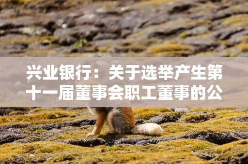 兴业银行：关于选举产生第十一届董事会职工董事的公告