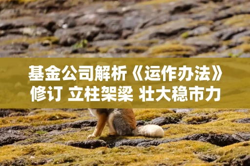 基金公司解析《运作办法》修订 立柱架梁 壮大稳市力量提升投资者获得感