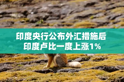 印度央行公布外汇措施后 印度卢比一度上涨1% 印度央行公布外汇措施后 印度卢比一度上涨1%