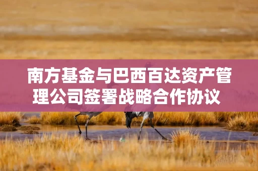 南方基金与巴西百达资产管理公司签署战略合作协议 携手深化中巴资产管理领域合作