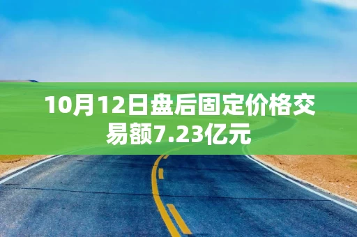 10月12日盘后固定价格交易额7.23亿元 10月12日盘后固定价格交易额7.23亿元