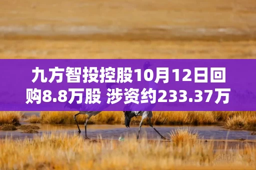 九方智投控股10月12日回购8.8万股 涉资约233.37万港元 九方智投控股10月12日回购8.8万股 涉资约233.37万港元