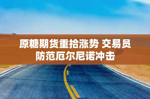 原糖期货重拾涨势 交易员防范厄尔尼诺冲击