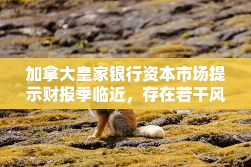 加拿大皇家银行资本市场提示财报季临近，存在若干风险