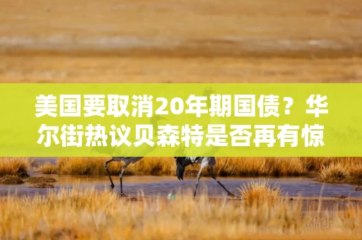 美国要取消20年期国债？华尔街热议贝森特是否再有惊人之举