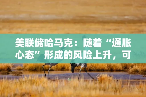 美联储哈马克:随着“通胀心态”形成的风险上升,可能需要更高利率 美联储哈马克:随着“通胀心态”形成的风险上升,可能需要更高利率