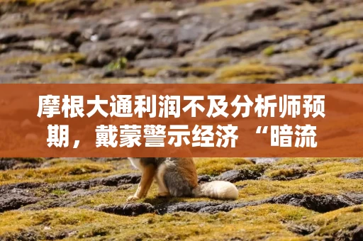 摩根大通利润不及分析师预期，戴蒙警示经济 “暗流正在发生变化”