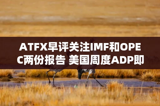 ATFX早评关注IMF和OPEC两份报告 美国周度ADP即将发布