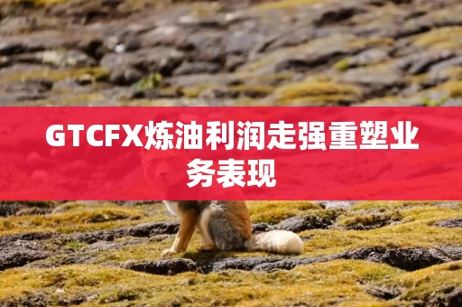 GTCFX炼油利润走强重塑业务表现 GTCFX炼油利润走强重塑业务表现