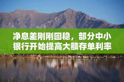 净息差刚刚回稳,部分中小银行开始提高大额存单利率 净息差刚刚回稳,部分中小银行开始提高大额存单利率