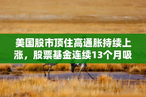 美国股市顶住高通胀持续上涨，股票基金连续13个月吸金创纪录