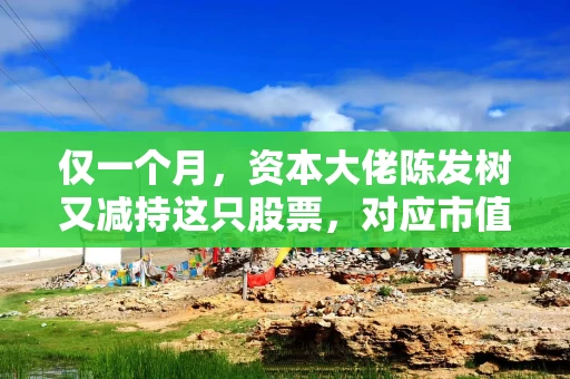 仅一个月，资本大佬陈发树又减持这只股票，对应市值1.29亿元