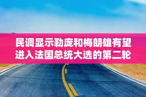 民调显示勒庞和梅朗雄有望进入法国总统大选的第二轮决选