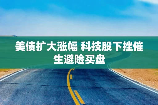 美债扩大涨幅 科技股下挫催生避险买盘 美债扩大涨幅 科技股下挫催生避险买盘