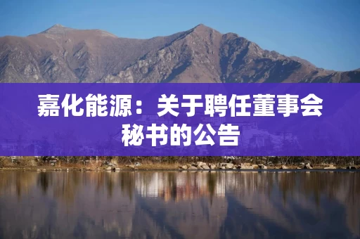 嘉化能源：关于聘任董事会秘书的公告
