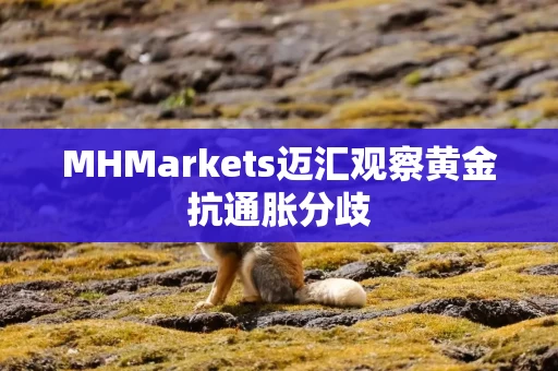 MHMarkets迈汇观察黄金抗通胀分歧