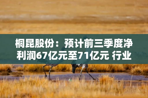 桐昆股份：预计前三季度净利润67亿元至71亿元 行业整体维持景气运行态势