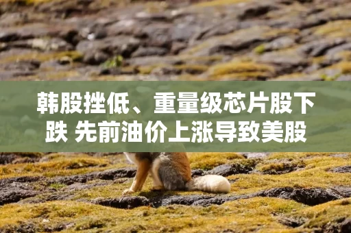 韩股挫低、重量级芯片股下跌 先前油价上涨导致美股走低